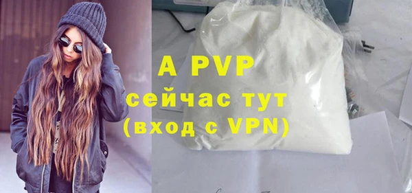 ECSTASY Белокуриха