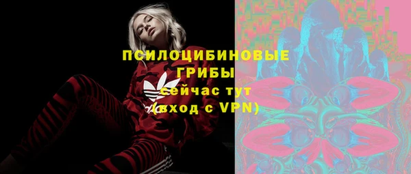 бутират Снежногорск