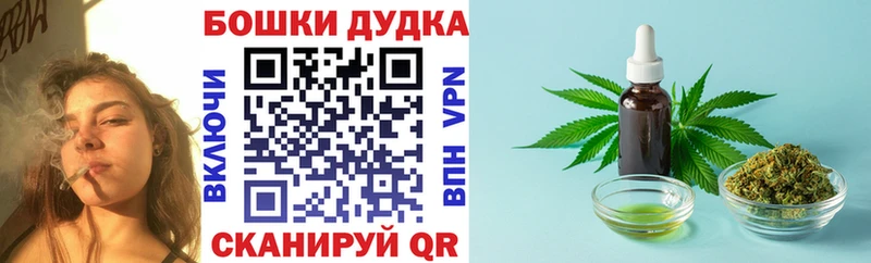 Конопля сатива  Жирновск 